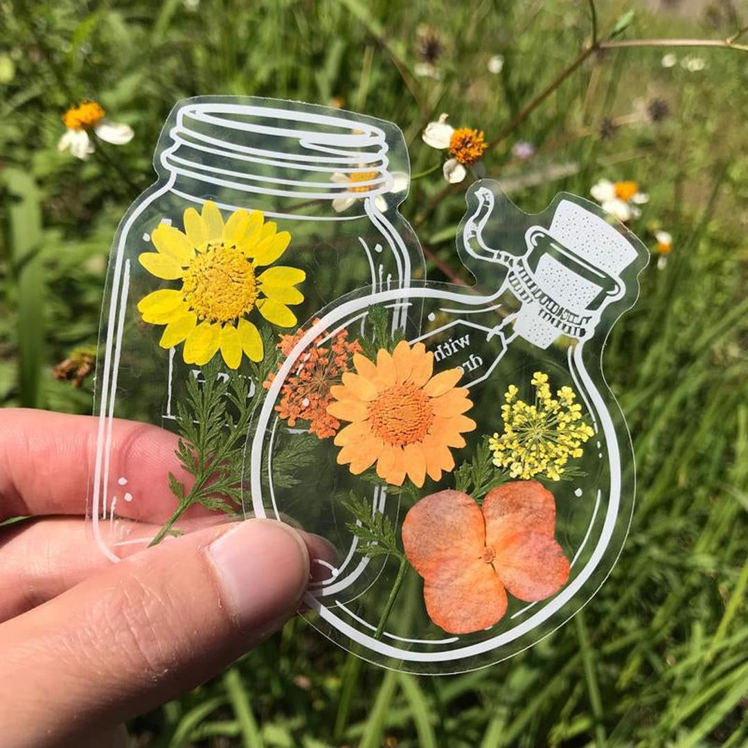DIY Pressed Flower Bookmark Kit - 30-Piece Collection