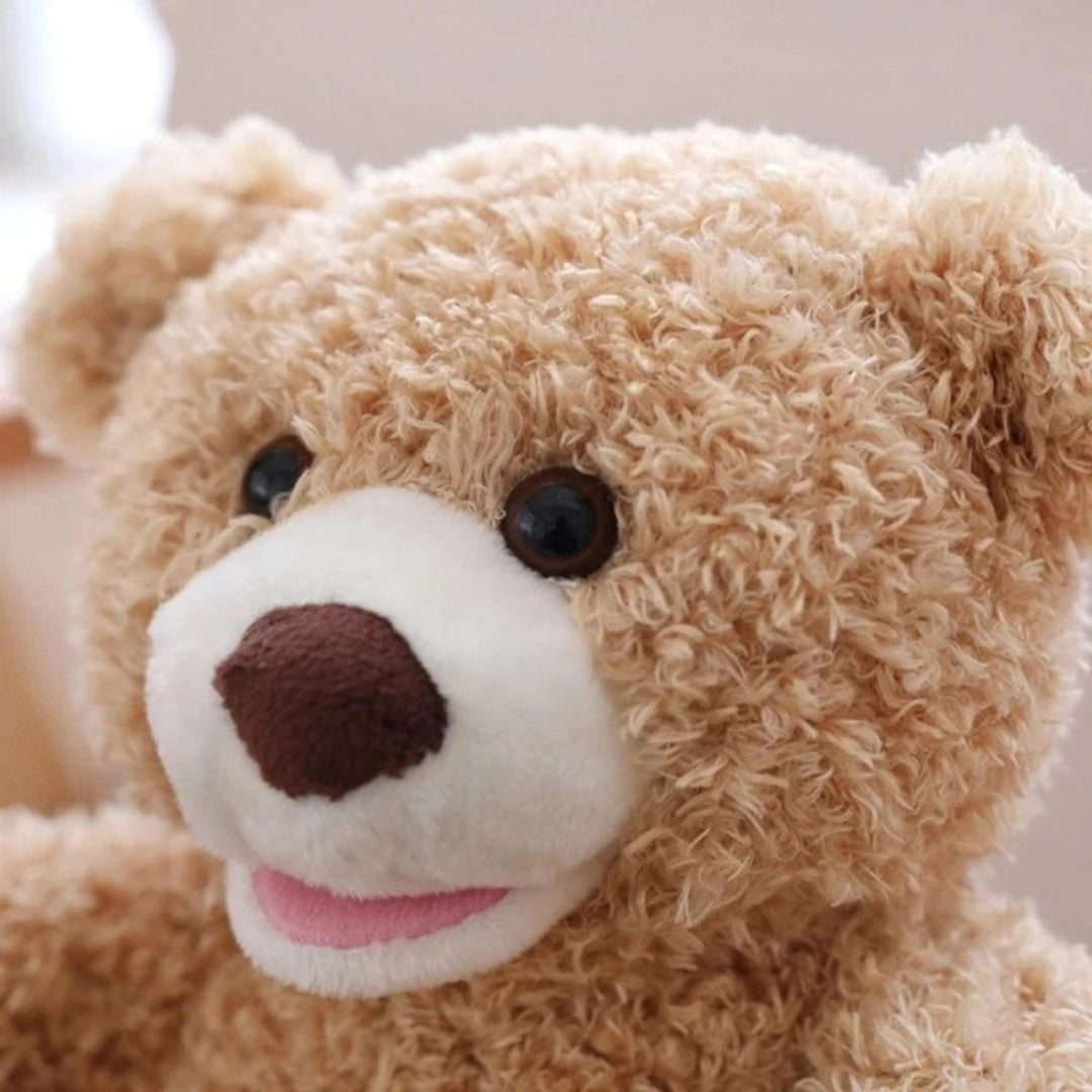 Peek-a-Boo Bear: Interactive Talking Plush Toy