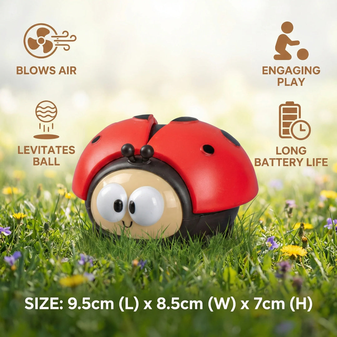 Air-powered Ladybug Toy Car